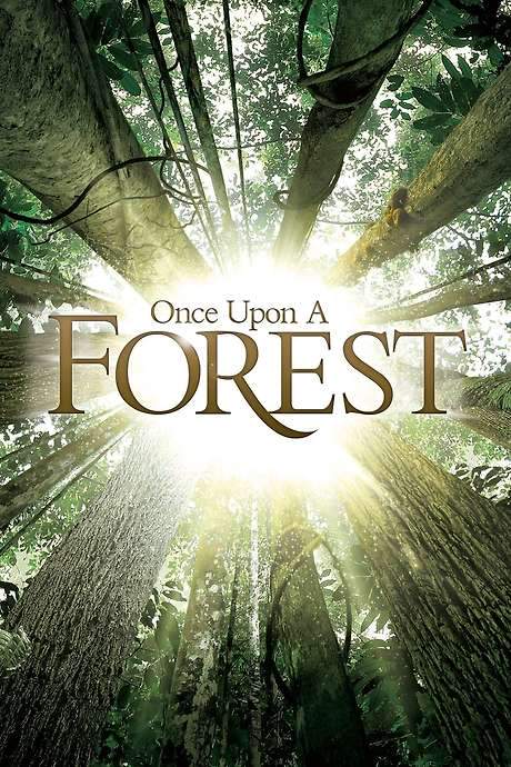 Once Upon a Forest